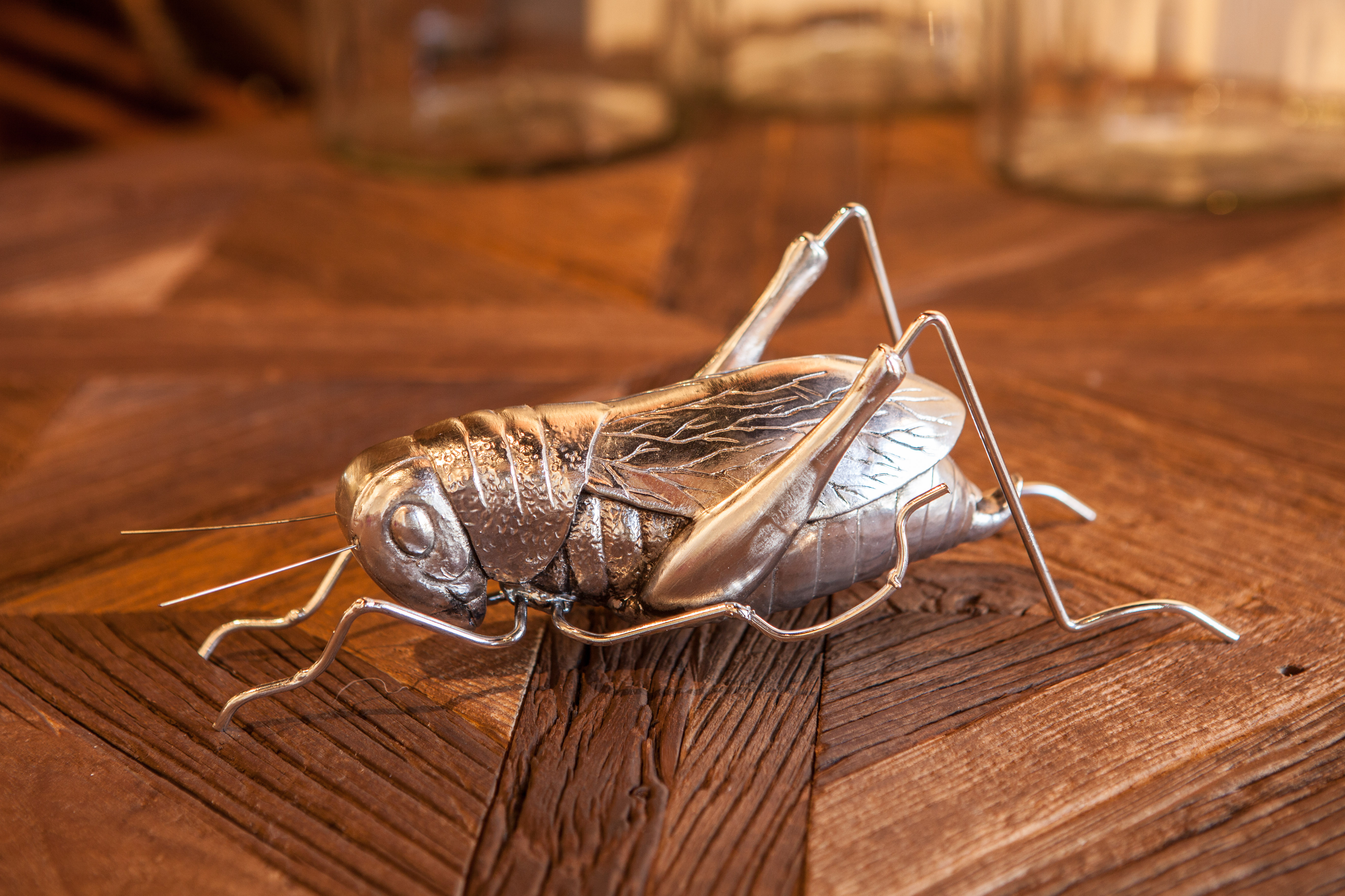 Decorative GRasshopper