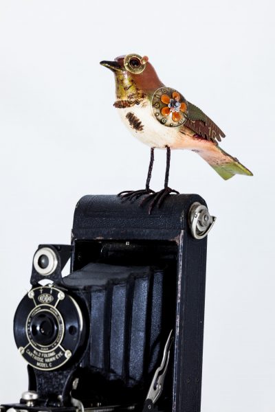 Upcycled Songbird on Vintage Camera