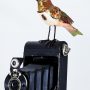 Upcycled Songbird on Vintage Camera