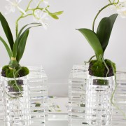 Veritas Glass Vases