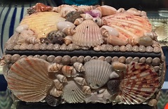 Small Shell Box