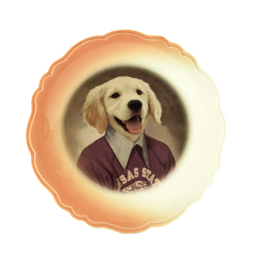 Max the Dog Decorative Animal Plate Collage Home