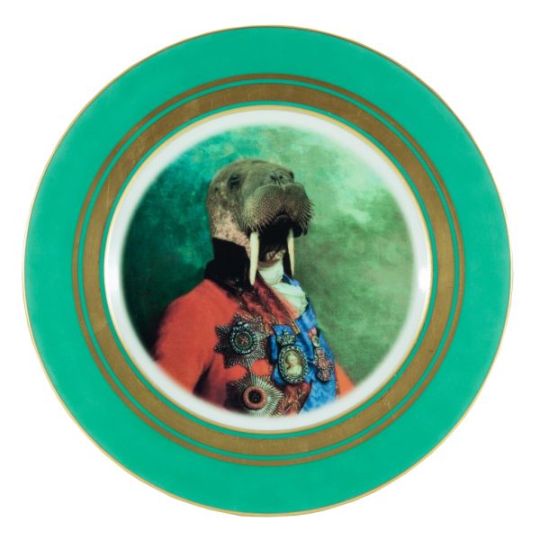 Odobenus Rosmarus Walrus Plate Odobenus Rosmarus Walrus Plate