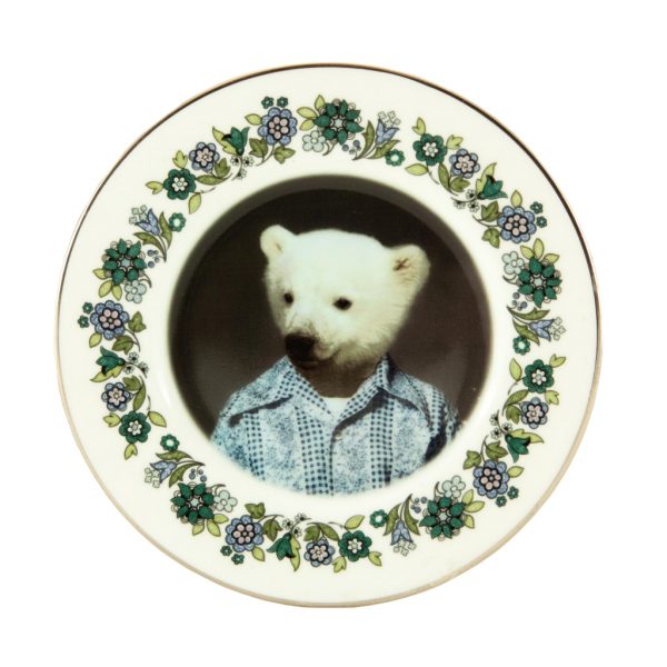 Pete Polar Bear Plate