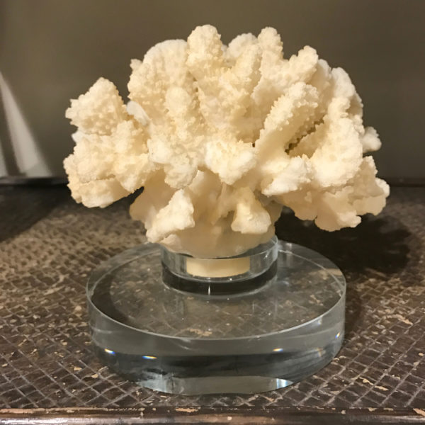 Faux Coral Sculpture